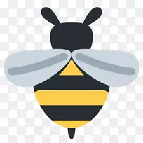 大黄蜂，蜜蜂，非洲蜜蜂，蜂王