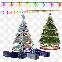 圣诞树，圣诞树装饰，冷杉，新年树，圣诞树