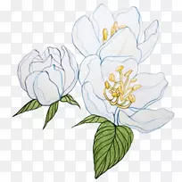 切花郁金香植物茎花设计.蓝色水彩花