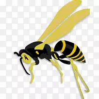 昆虫，蜜蜂，黄蜂