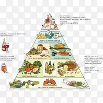 健康饮食金字塔健康饮食组-金字塔