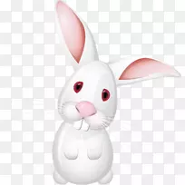 复活节兔子-免费-复活节兔子