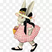复活节兔子复活节明信片-复活节兔子