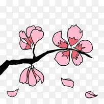 樱花枝条插花艺术-樱花树