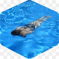 多伦多泛美体育中心游泳池酒店热水浴缸-游泳
