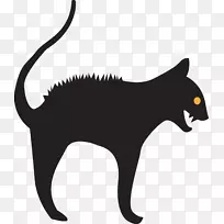 猫须食肉动物猫爪