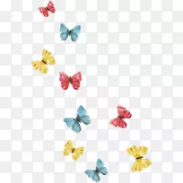 蝴蝶和飞蛾摄影剪辑艺术-蒲公英