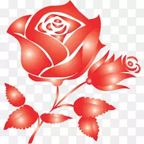 花园玫瑰花蔷薇科剪贴画-红玫瑰装饰