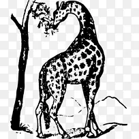 长颈鹿挣扎和胜利：或者，四十年的回忆。t。Barnum剪贴画-长颈鹿