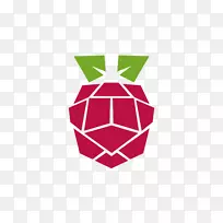 raspberry pi启动标志raspbian-piñ；一种colada
