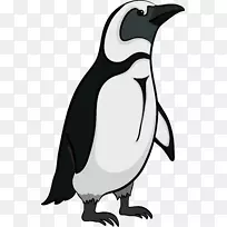 南极帝企鹅-企鹅