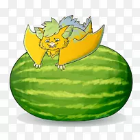 西瓜黄瓜葫芦科番石榴
