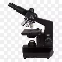 光学显微镜放大生物学物镜