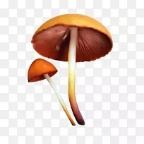 蘑菇菌类电脑图标剪贴画