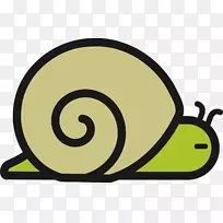 蜗牛腹足动物，贝壳，腹足动物，壳夹艺术.蜗牛