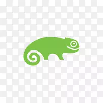OpenSUSE linux发行版红帽子企业linux企业-蜥蜴