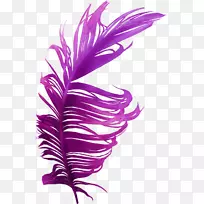 羽毛鸟紫别针