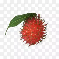 红毛丹泰国料理草莓磁铁