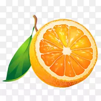 柑橘类水果剪贴画.柚子