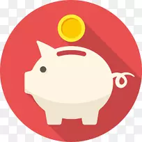 储蓄银行公共公积金财务-猪