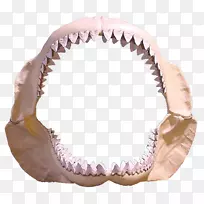 大白鲨牙鲨