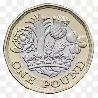 皇家铸币，一美元，一英镑，英镑-硬币