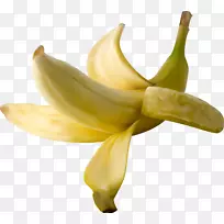 香蕉叶-浆果