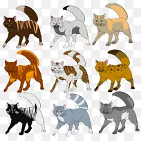 汤加猫战士动物猫毛遗传学-嵌合体