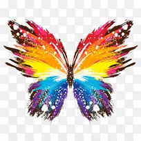 蝴蝶画桌面壁纸.彩色