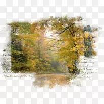 景观自然中心艺术-秋天