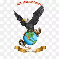 鹰，全球，锚定美国海军陆战队-鹰