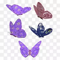 蝴蝶昆虫剪贴画-紫色