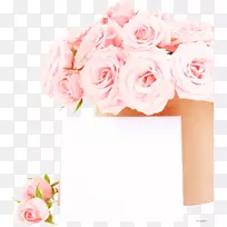 摄影花玫瑰婚礼-白玫瑰