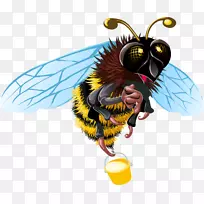 蜂巢免费剪贴画-蜜蜂