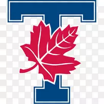 多伦多大学蓝队男子冰球多伦多蓝色足球安大略大学田径-加拿大