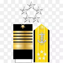 海军少将舰队上将美国海军军官军衔舰队上将