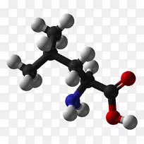 氨基酸分子蛋白丙氨酸-3D