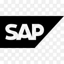 sap erp业务和生产力软件徽标-axe徽标