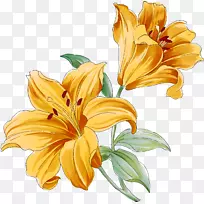 花画水彩画剪贴画百合花山谷