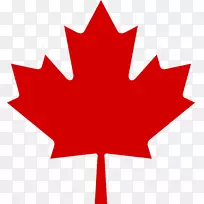 加拿大枫叶剪贴画
