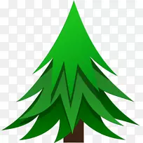 植物针叶树，松树，冷杉，云杉-圣诞树