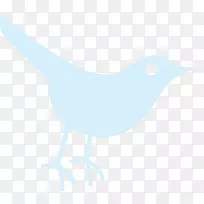 电脑图标剪辑艺术鸟