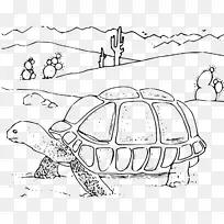 海龟画沙漠龟剪贴画-鬣狗
