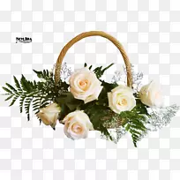 桌面壁纸桌面隐喻花束生日-白色玫瑰