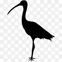 鸟鹤剪影ibis剪贴画-猕猴桃