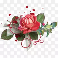 花园玫瑰，花束，切花，花卉设计-玫瑰