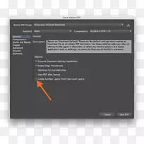 AdobeAcrobat可移植文档格式层adobe inDesign-txt文件