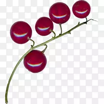 紫红色紫罗兰落果