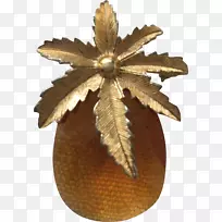 叶菠萝