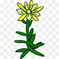 [医]黄花草(Saxifraga Aizoides Saxifraga Operctifolia)剪贴画-植物
